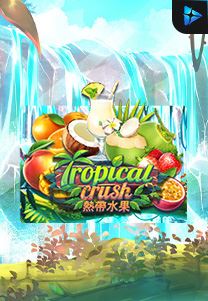 Bocoran RTP Tropical Crush di BENTO188 Generator RTP SLOT GACOR 4D Live Dengan Pola Akurat Dan Lengkap