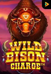 Wild Bison Charge