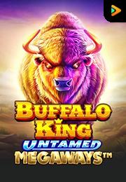 Bocoran RTP Buffalo King Untamed Megaways di BENTO188 Generator RTP SLOT GACOR 4D Live Dengan Pola Akurat Dan Lengkap